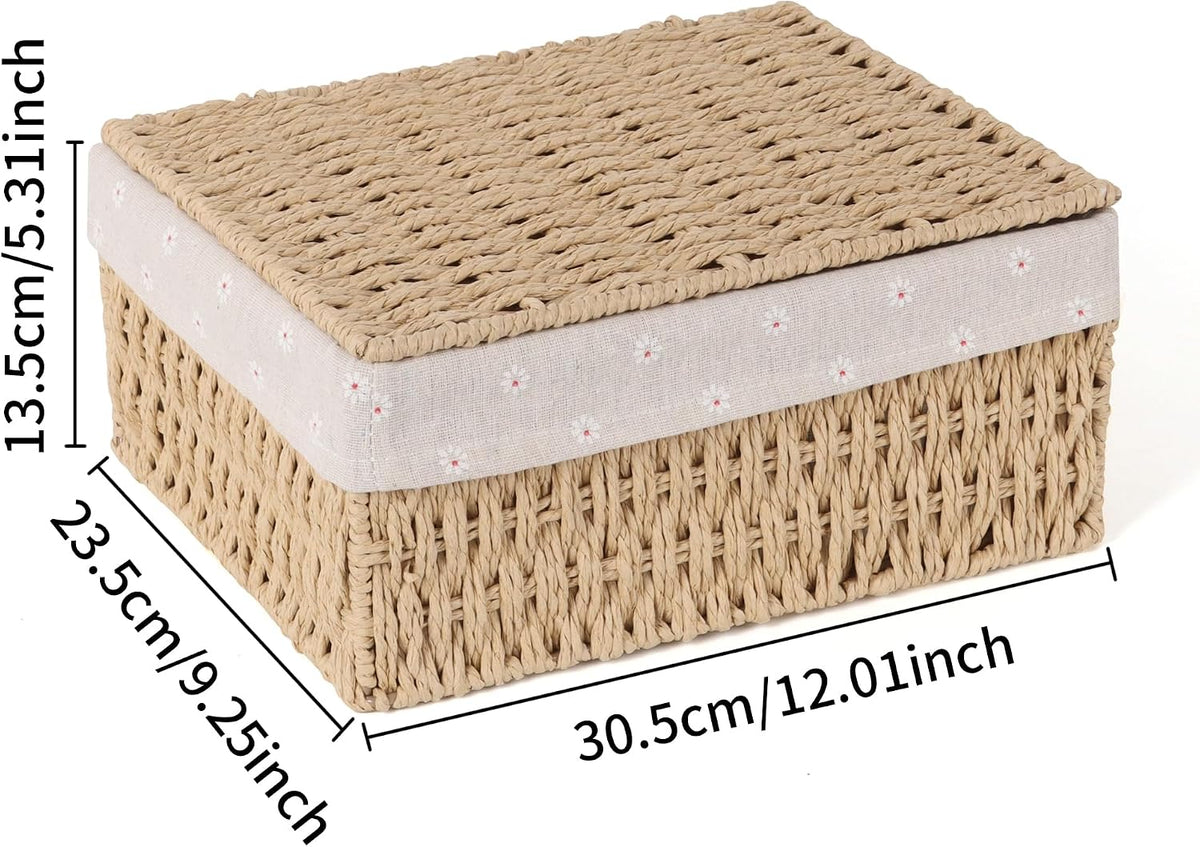 FEILANDUO Wicker Shelf Baskets Bin with Lid, Handwoven Paper Rope Baskets for Organizing, Rectangular Basket for Storage, Desktop Boxes with Lids Home Organizer Decor, Large